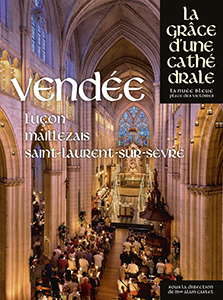 LA GRACE D'UNE CATHEDRALE VENDEE (LUÇON, MAILLEZAIS, SAINT LAURENT SUR SÈVRE)